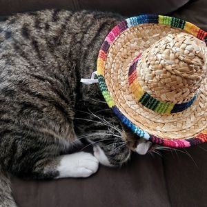 **HP**Small Animal Sombrero